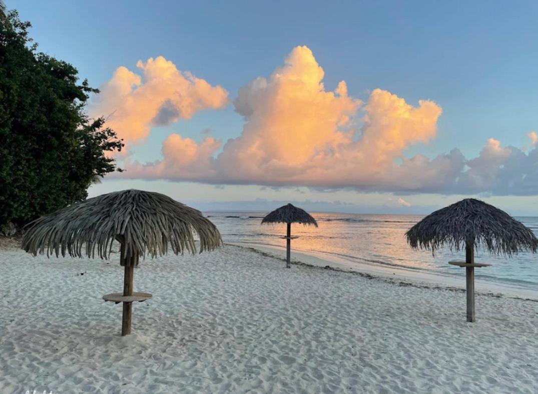 Studio Hibiscus Anse Des Rochers Saint Francois Ngoại thất bức ảnh