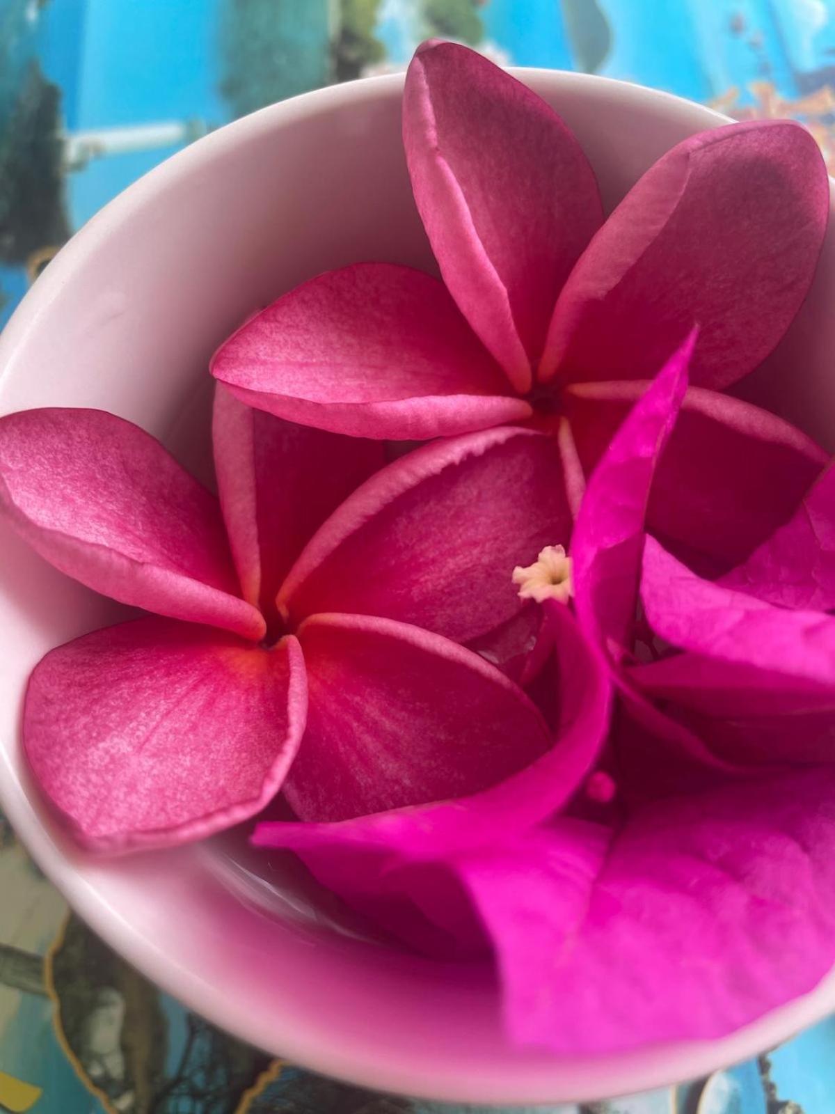 Studio Hibiscus Anse Des Rochers Saint Francois Ngoại thất bức ảnh