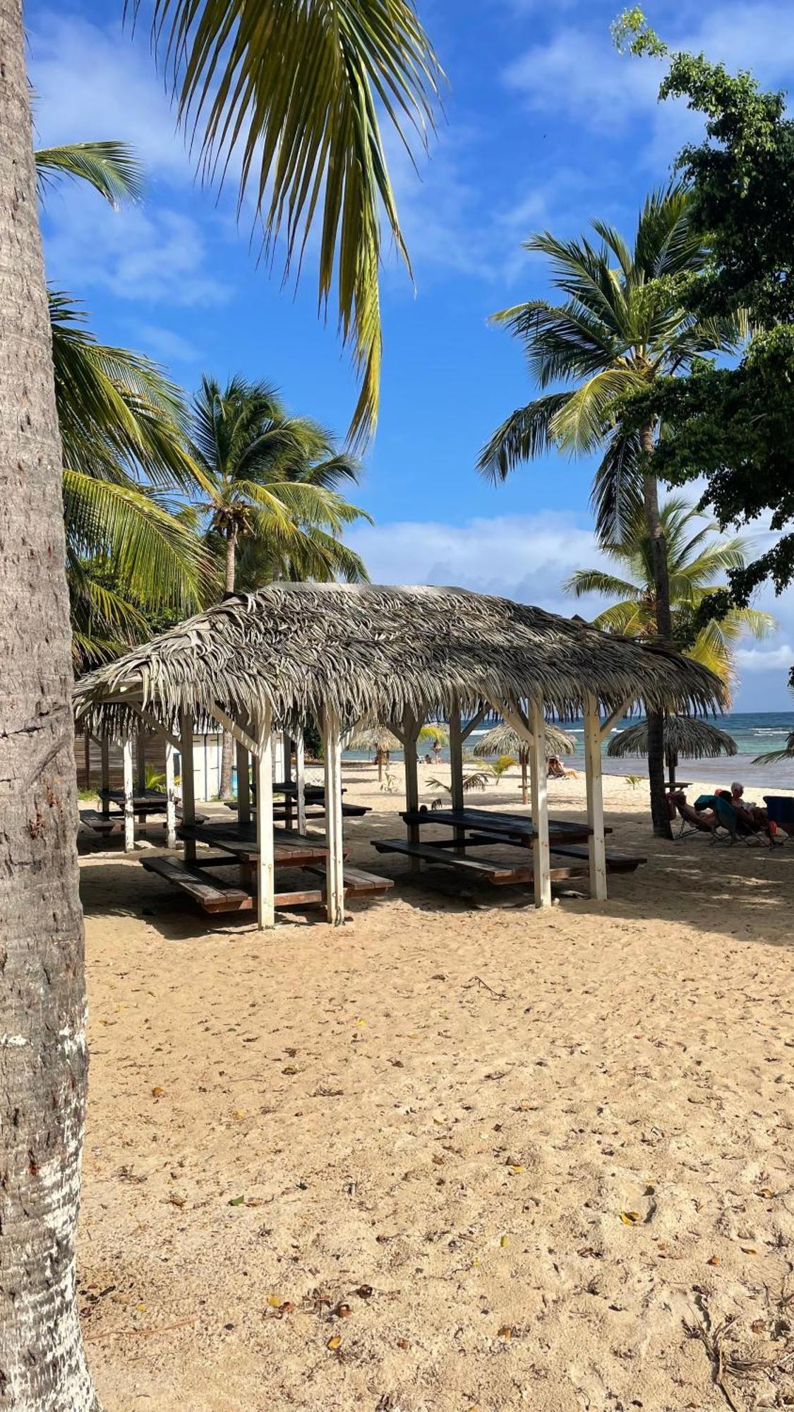 Studio Hibiscus Anse Des Rochers Saint Francois Ngoại thất bức ảnh