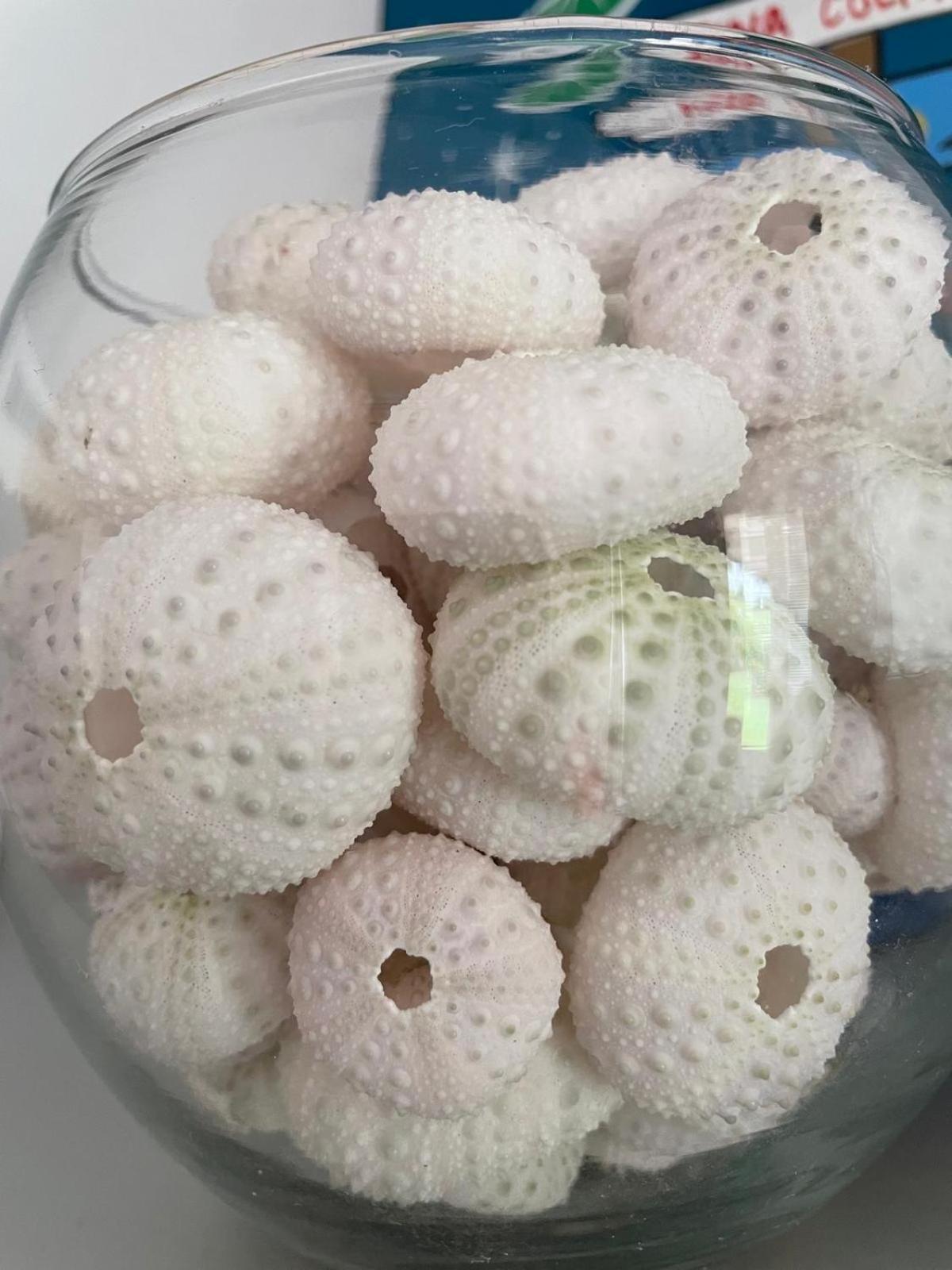 Studio Hibiscus Anse Des Rochers Saint Francois Ngoại thất bức ảnh