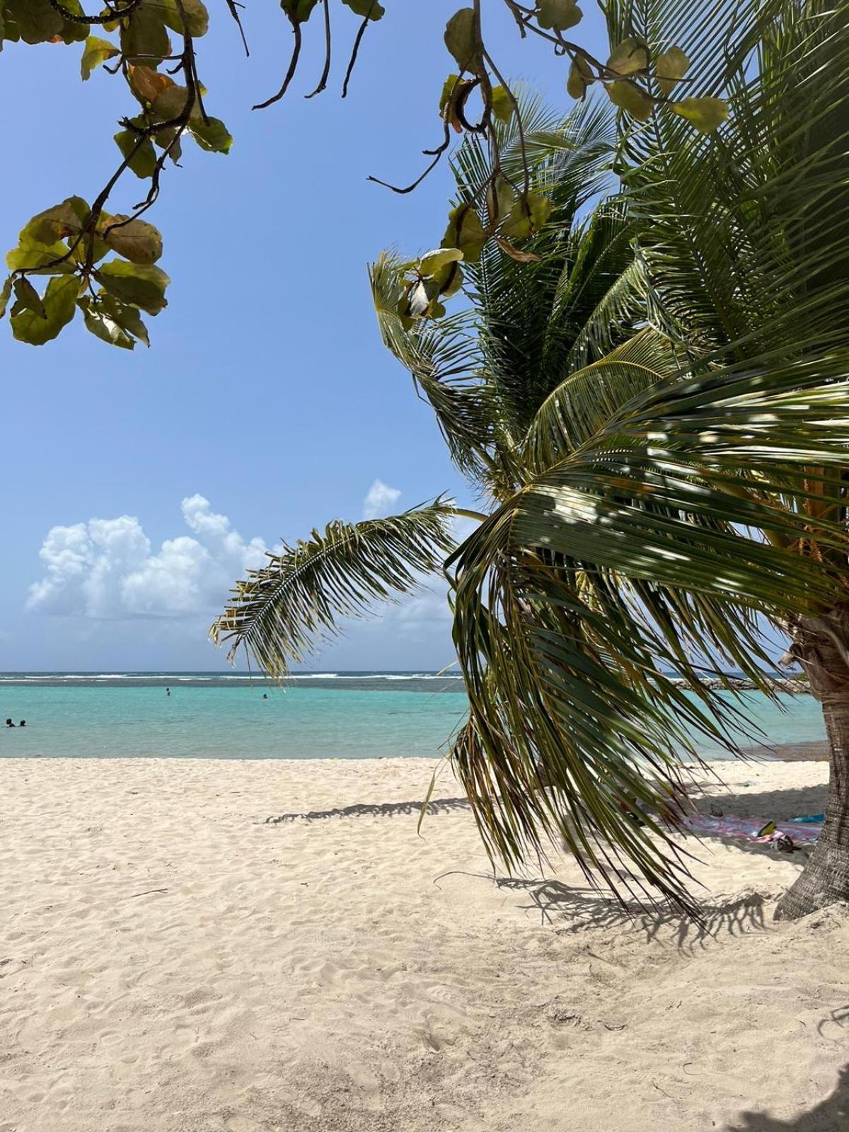 Studio Hibiscus Anse Des Rochers Saint Francois Ngoại thất bức ảnh